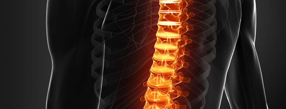 physio02