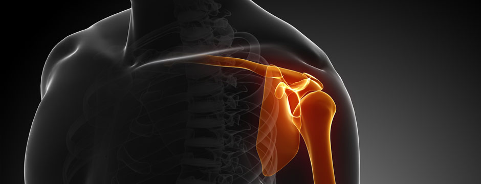 physio04